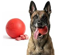 WoofBite WB Ball Beef Scent