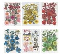 Woohome 126PCS Real Pressed Flowers Kit for Resin, Nail Art, Scrapbooking, Candle and Jewelry Making - Dried Colorful Crafting Supplies