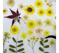 Woohome 4 Pack Dried Flowers for Resin Molds, 137 Pcs Real Natural Dried Pressed Flowers, Yellow Natural Dried Pressed Leaves for Pressed Leaf Art Craft DIY Embellishment Decorations