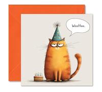 WooHoo Moody Cat Funny Birthday Greetings Card - Blank Inside - Includes Orange Coloured Envelope - Made in the UK