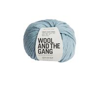Wool and the Gang Crazy Sexy Wool, Duck Egg Blue (150), 200g