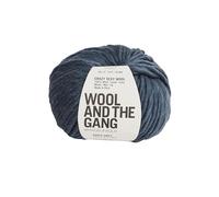 Wool and the Gang Crazy Sexy Wool, Eagle Grey (031), 100g