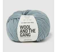 Wool and the Gang Lil' Crazy Sexy Wool, Duck Egg Blue, 100g, Chunky