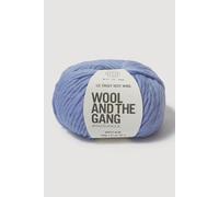Wool and the Gang Lil' Crazy Sexy Wool, Dusty Blue, 100g, Chunky