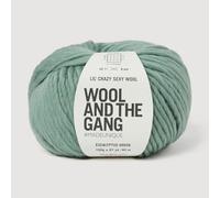 Wool and the Gang Lil' Crazy Sexy Wool, Eucalyptus Green, 100g, Chunky