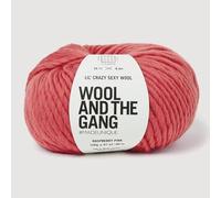 Wool and the Gang Lil' Crazy Sexy Wool, Raspberry Pink, 100g, Chunky