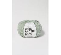 Wool and the Gang The One Merino, Euclayptus Green, 50g, Aran/Worsted