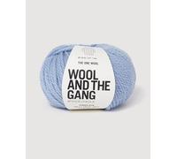 Wool and the Gang The One Wool, Powder Blue, 100g, Chunky