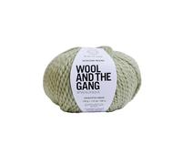 Wool and the Gang Yarn Alpachino Merino Eucalyptus Green