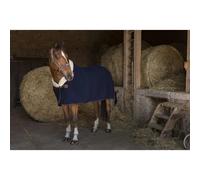 Wool Fleece Blanket Equithème Teddy