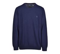 Blue Jumper for Men Aw25 - male - Polo Ralph Lauren - Round-neck Knitwear - Blue - M - Knitwear M