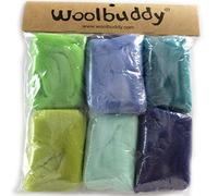 Woolbuddy Needle Felting Wool Roving Color, Beautiful Felting Wool, Instruction Teach You How to Mix Color- Great for Arts & Crafts & Easy for Beginners Spring