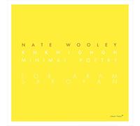 Wooley Nate - Knknighgh Minimal Poetry for Aram Saroy