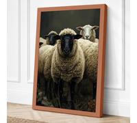 Woolly Faced Sheep Rustic Canvas Wall Art Print 24x16 Inch (61 x 41 cm)