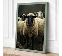 Woolly Faced Sheep Rustic Canvas Wall Art Print 30x20 Inch (76 x 51 cm)