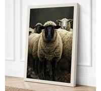 Woolly Faced Sheep Rustic Canvas Wall Art Print 36x24 Inch (91 x 61 cm)