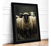 Woolly Faced Sheep Rustic Framed Wall Art Print A2 Black