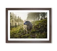 Woolly Sheep Landscape Modern Framed Print | A4 Walnut Framed Wall Art | Ready to Hang | Modern Animal Picture | Living Room Bedroom Lounge Office