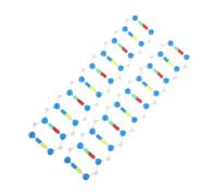 WOONEKY 2pcs Dna Double Helix Molecular Model Kit Educational Science for Students Biology Teaching Human Genes Structure Components for Classroom Study