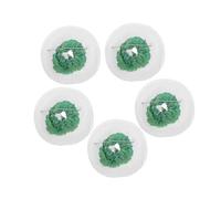 WOONEKY 5pcs Camping Lantern Mantles Gas Lamp Covers with Double Iron Clips Polyester Mesh Replacement for Outdoor Hiking and Nighttime Lighting
