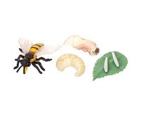 WOONEKY Bee Growth Cycle Model Educational Insect Display Ornament for Schools Kindergartens Science Museums Realistic Life Cycle Simulation