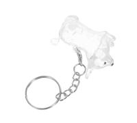 WOONEKY Corgi Shaped Pet Hair Memorial Box Plastic Keepsake Keychain with Key Ring for Dog Owners Heartfelt Tribute and Long Term Hair Preservation