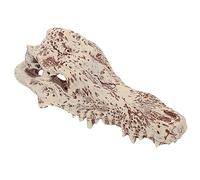 WOONEKY Creative Dinosaur Skull Model Hiding Cave for Reptile Habitat Unique Home Decor Durable Tortoise Basking Platform for Aquatic Turtles Frogs Lizards and More