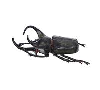 WOONEKY Educational Beetle Realistic Insect Model for Early Learning and Biological Knowledge Decorative and Safe Childrens Beetle Figure for Cognitive Development