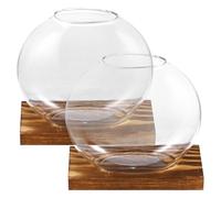 WOONEKY Glass Vase High Borosilicate Glass 2 Sets Elegant Nordic Style Hydroponic with Wooden Stand and Eucalyptus Material, Rounded Corners, Smooth Edges, for Home or Balcony Plant