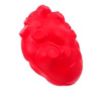 WOONEKY Realistic Human Heart Organ Model for Anatomy Education Anatomical Simulation Teaching Prop for Medical Schools and Biology Labs Enhanced Learning Experience for Students