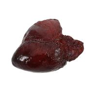 WOONEKY Realistic Pig Heart Food Model Kitchen Display Prop for Restaurant Decoration Photography and Window Display Faux Meat