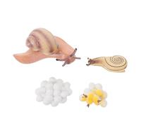 WOONEKY Realistic Snails Life Cycle Model Educational for Plastic Animal Display Figurines for Early Learning and Cognitive Development Safe Decorative Snail Growth Cycle