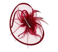 WOONEKY Tea Party Dresses Hat Women's Elegant Fascinator Headwear for Fashionable Events