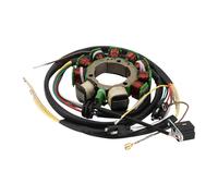 WOOSTAR 10 Coil 12 Wire Magneto Stator Replacement for Polaris 1998-2000 Sportsman 500 ATV 4x4 Carb OEM 3085561 3086821