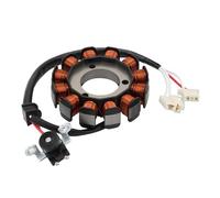 WOOSTAR 12 Coil 4 Wire Magneto Stator Replacement for 2015-2021 YZF R15 2020 YZF155L 2019 YZF155K 2021 XSR125 2019-2021 YZF R125 2020-2021 MT125 MT-125 OEM 2FB-H1410-00 BK7-H1410-00 BK6-H1410-02