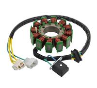 WOOSTAR 12 Coil 5 Wire Magneto Stator Replacement for Hyosung 2002-2010 GT125 GT250 GV125 GV250 GV125R GV250R Pocket Bike Cruiser Motorcycle Engine