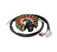 WOOSTAR 16 Coil 6 Wire Magneto Stator Replacement for 2001-2017 TW200 1999-2004 TW125 2002-2007 TW225 OEM 4WP-85510-10