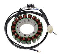 WOOSTAR 18 Coil 5 Wire Magneto Stator Replacement for 1986-1999 XV1100 XV700 XV750 OEM 1TA-81410-20 4PP-81410-00 1RM-81410-20 Engine