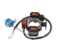 WOOSTAR 3 Coil 2 Wire Ignition Stator Magneto Replacement for Suzuki LTZ50 Quadsport Z50 2006-2010 2017-2018 ATV OEM 32101-43G00