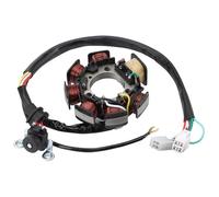 WOOSTAR 7 Coil 8 Wire Magneto Stator Replacement for 2003-2009 TT-R125E 2003-2008 TT-R125L 2014-2017 TT-R125lE OEM 5HP-85510-10-00 5HP-H5510-10-00