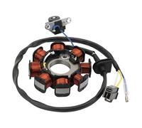 WOOSTAR 8 Coil 3 Wire Magneto Stator Replacement for Vitality 50 People S Ti11 Dink Agility Deliver Carry VP50 OEM 31120-LBD6-EOA 31120-LBD6-EOB 31120-LBD6-E0C 31120-LDC8-E10 31120-LEJ2-E104