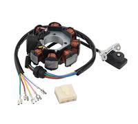 WOOSTAR 8 Coil 6 Wire Ignition Stator Magneto Replacement for 125z 150sz Dm150 Rc125 Ft150 CG 125cc 150cc 200cc 250cc ATV Quad Dune Buggy Dirt Pit Bike Pro Trail Bike Go Kart OEM E05010034