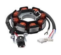 WOOSTAR 8 Coil 8 Wire Magneto Stator Replacement for YBR125 XT125 Motorcycle