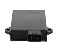 WOOSTAR 8 Pin CDI Unit Ignition Coil Replacement for 260cc 300cc Linhai FS300 ATV