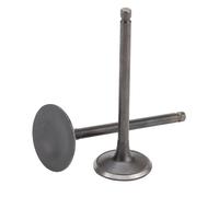 WOOSTAR Cylinder Head Intake Exhaust Valves Replacement for Helix CN250 Elite CH250 BMS TBX260 Linhai Aeolis 260 Water Cooled ATV Go Kart Scooter