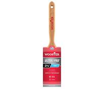Wooster Brush 4175-2-1/2 4175-21/2 Paintbrush, Nylon, 2.5"