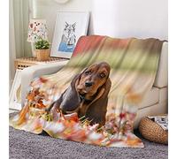 Woowin Flannel Sherpa Blanket Basset Hound Throw Blanket Animal Dog 3D Printed Soft Cozy Blanket for Bed Sofa Couch Baby Kids Adults Girls Boy Blanket Warm Fluffy Lightweight Double 40x50Inch
