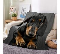 Woowin Flannel Sherpa Blanket Dachshund Throw Blanket Animal Dog 3D Printed Soft Cozy Blanket for Bed Sofa Couch Baby Kids Adults Girls Boy Blanket Warm Fluffy Lightweight Double 60x80Inch
