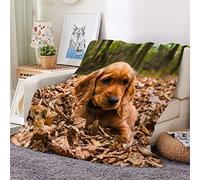 Woowin Flannel Sherpa Blanket English Cocker Spaniel Throw Animal Dog 3D Printed Soft Cozy for Bed Sofa Couch Baby Kids Adults Girls Boy Warm Fluffy Lightweight Double 40x50Inch