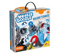 WOOZLE GOOZLE MAGNETISMUS experiment set for beginners and children aged 8 and over